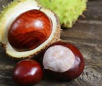THE TRUTHS ABOUT HIGH CHOLESTEROL  Summary: Facts on high cholesterol that you might not want to hear but have to know