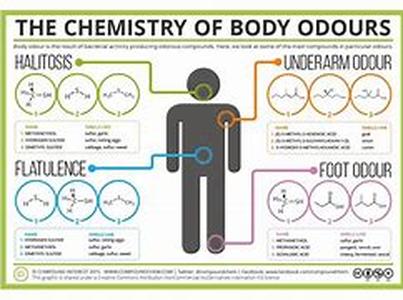 Body Fat Percentage is The Right Way to Measure Fitness