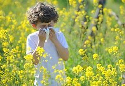 Allergies - What Causes Them