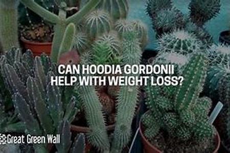 Can Fasting Help Me To Lose Weight