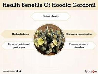 Hoodia Gordonii - 50 Million Americans are Dieting