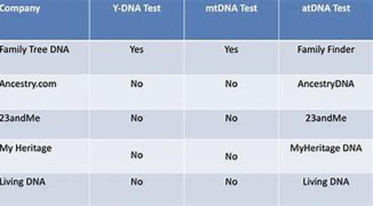 No Fees Involved: Where To Find Free Sites For Your Genealogy Search
