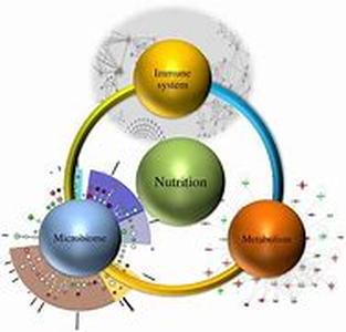 Nutritional Supplements
