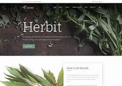 Herbal Menopause Treatment