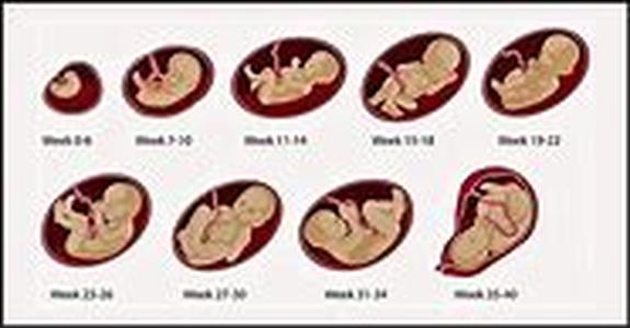 Pregnancy Exercise And Diet Tips - Sensible Advice For Expectant Mothers