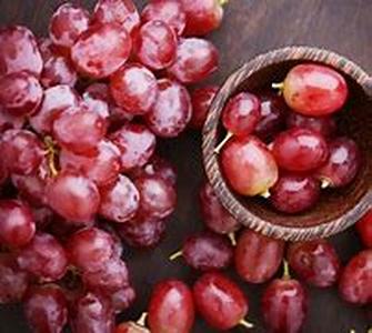 Liquid Antioxidant ORAC