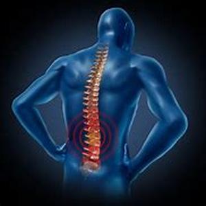 Back Pain Muscles