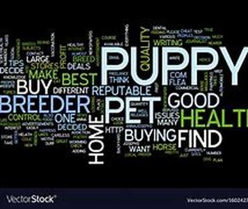 Finding the Pet Food that will Optimize Your Pet's Health