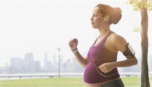 Exercise Equipment Replacement Parts