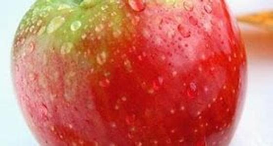 4 Tips on How to Treat Adult Acne