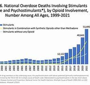Drug Addiction Facts