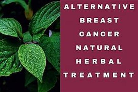 What is alternative health care