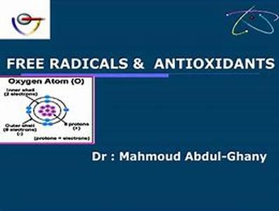 List of Antioxidant Foods
