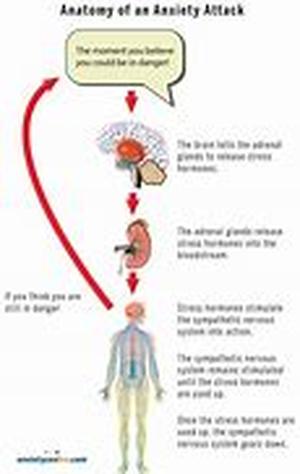 Anadrol Helps To Boost Up The Production Of Red Blood Cells