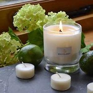 Aromatherapy - Using Essential Oils For Good Health