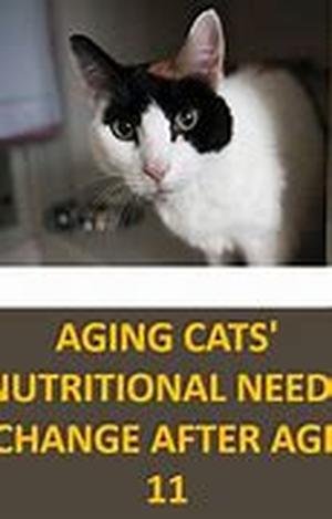 Ageing Skin Care - What Is Chemical Peeling