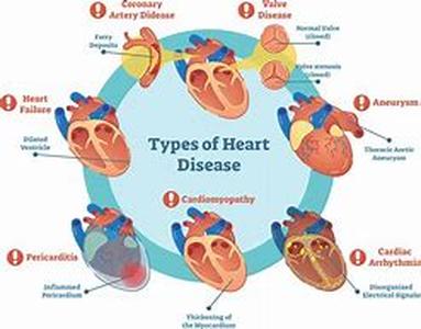 Heart Statistics for Women in USA