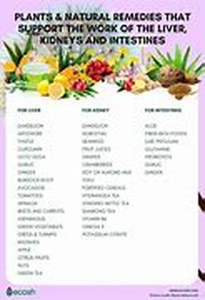 Herbal Viagra - Buy Viagra Alternatives Online