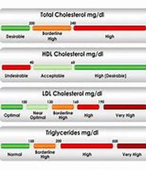 Cholesterol