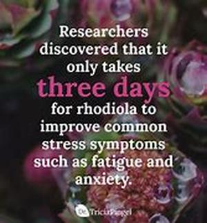 Use Hoodia Gordonii to Lose Weight Naturally