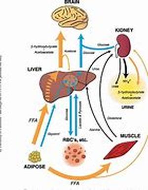 Mesothelioma Asbestos Exposure  Do you recognize that when you are right inside any building, there is an imposing threat of mesothelioma asbestos exposure