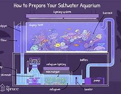 "Drinking Water Scams Revealed"
