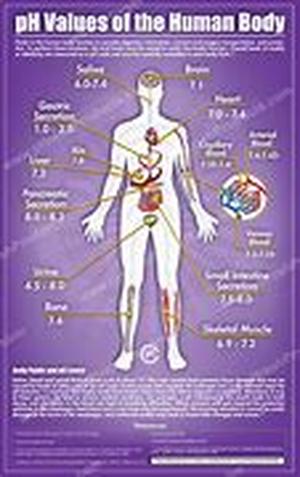 Importance of Warming Up Before Exercise