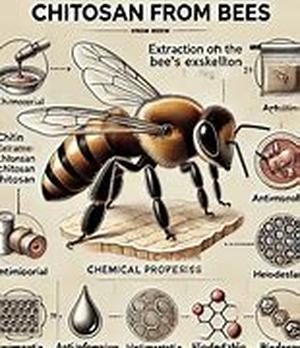 The Polyvinyl Alcohol-Chitosan Blends
