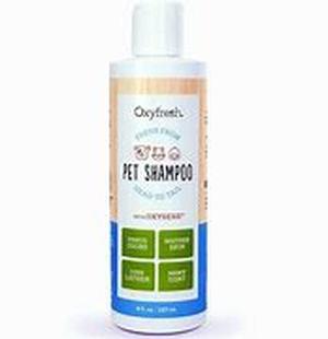 Best Antioxidant Ambrotose AO