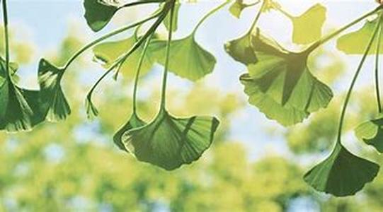 Farm Organic Fertilizer