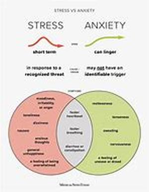 Stress and Anxiety in Post-Modern Society