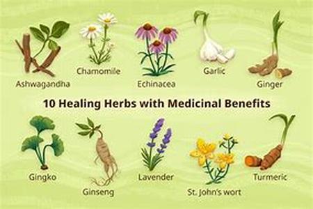 A lot of people, who suffer from short period depressions, anxiety, and general mood disorders that significantly affect their quality of life, may not know that there are non-prescription options or natural cures for depression that can treat the disord