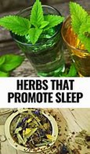 Herbal remedy for dizziness