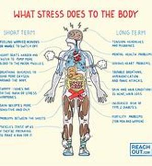 How Positive Emotions Affect Your Health
