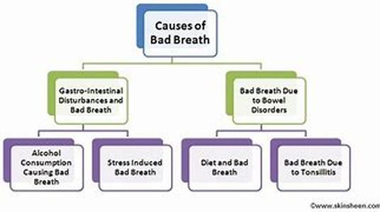 What Can You Do To Stop Smoking