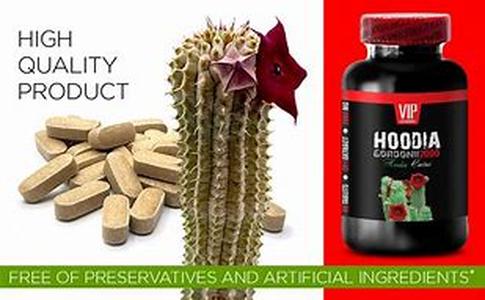 Hoodia Diet Pills in the Philippines