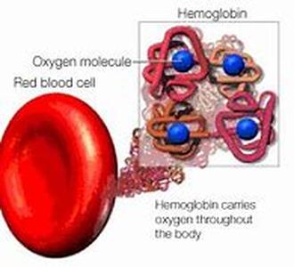 Hematology Oncology Associates