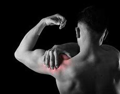 Muscle Building No Gain Without Pain