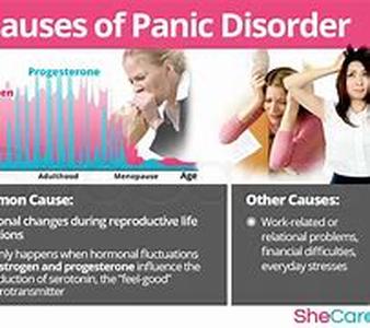 The Causes Of Stress