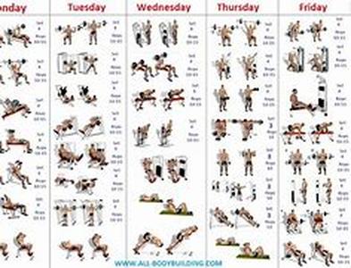 Bodybuilding Fitness Elementary