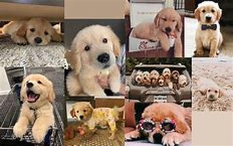 Free Message Boards