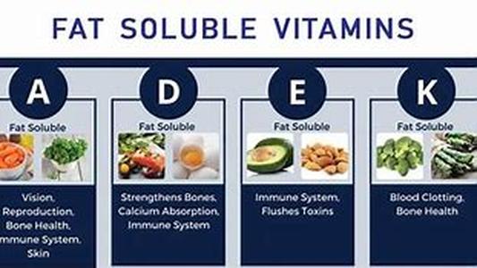 The Importance of Cellular Health