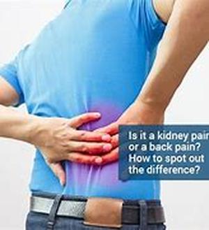 Key Concepts Of Gastric Ulcer