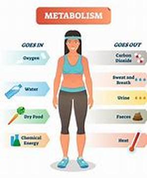Crash Course On Cellulites
