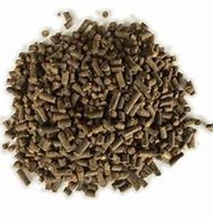 Keyword  : Biloba Ginkgo Plant