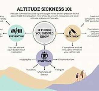 "What There is to Know About Diet Pills
