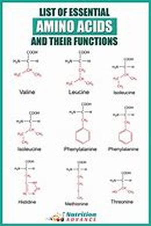 Erekticles And The 12 Epic Tasks Of Generic Viagra