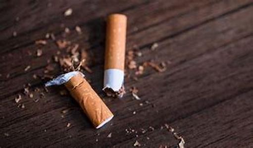 Deciphering Stress and Anxiety; Relieving Ourselves from the Daily Grind