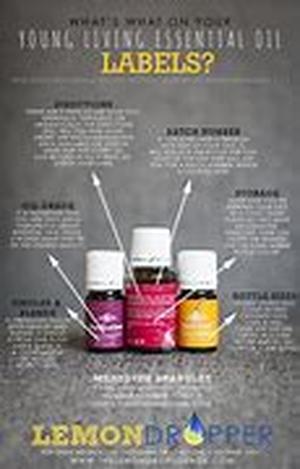 Essential Nutrition For Every Woman