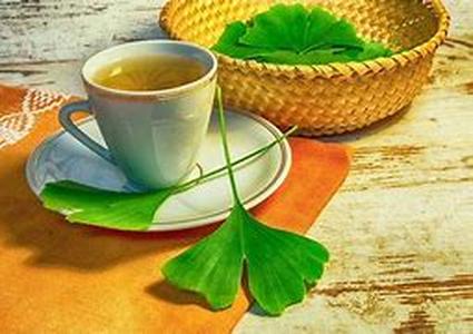 Keyword  : Ginkgo Biloba Problem and Danger